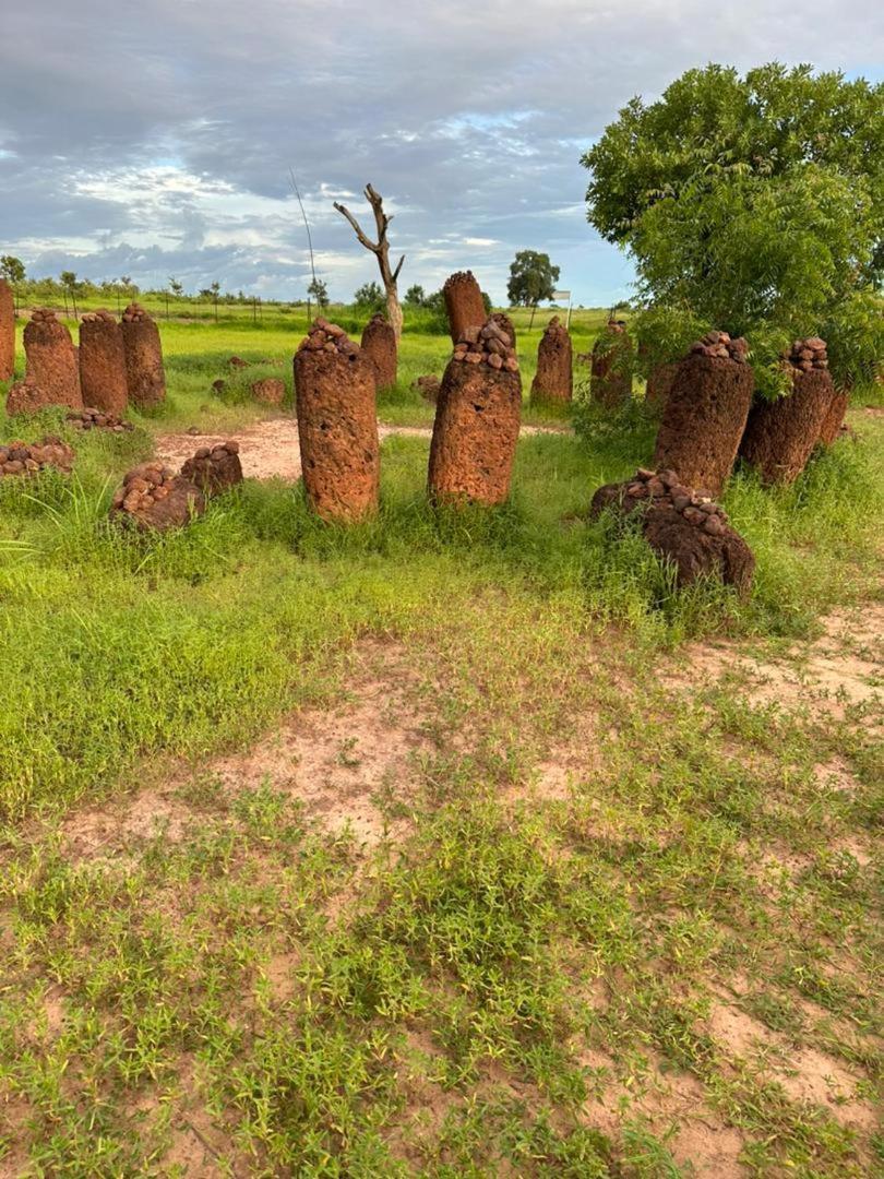 Villa Pombo Kunda à Sanyang Extérieur photo